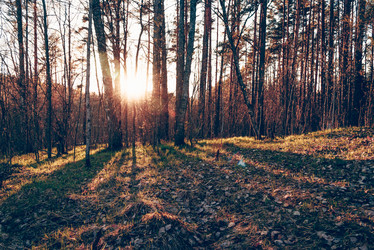 Similar image 22016452