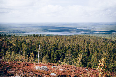 Similar image 22016453