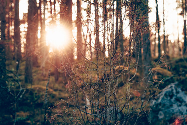 Similar image 22016454