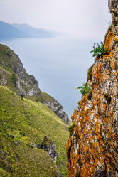 Similar image 22016567