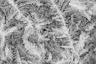 Similar image 22012939