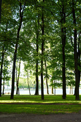 Similar image 22014421