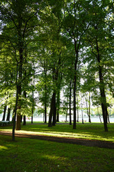 Similar image 22018622