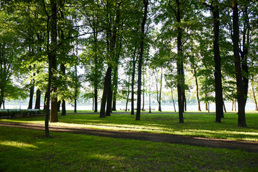 Similar image 22018918