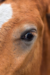 Similar image 22008645