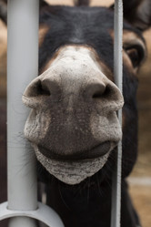 Similar image 22008646