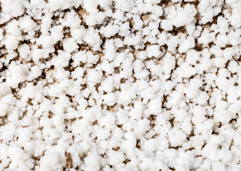 Similar image 22013150