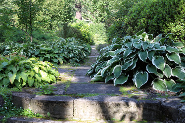 Similar image 22008685