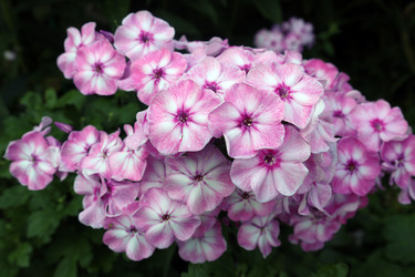 Similar image 22008688