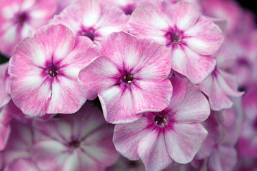 Similar image 22008690