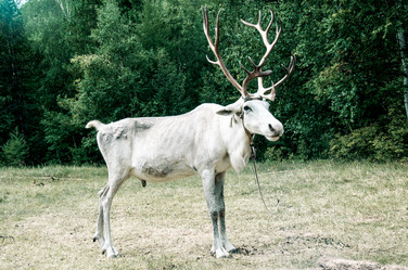 Similar image 22016205