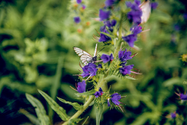 Similar image 22016213