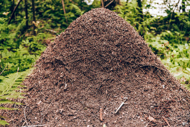 Similar image 22016215