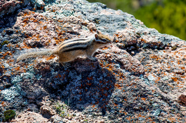 Similar image 22016217