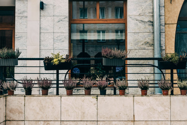 Similar image 22016225