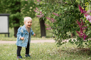 Similar image 22008940