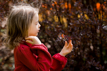 Similar image 22008949