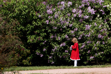 Similar image 22008959