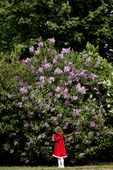 Similar image 22008960