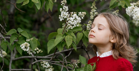 Similar image 22008961