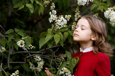 Similar image 22008962