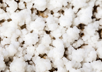 Similar image 22013288