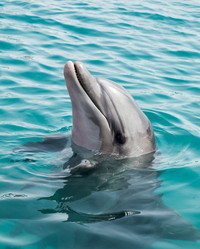 Similar image 22013291