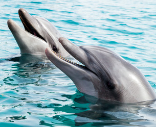 Similar image 22013293