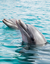 Similar image 22013428