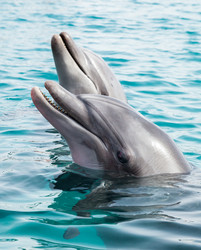 Similar image 22012631