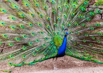 Similar image 22012639