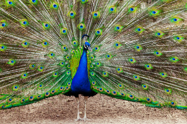 Similar image 22012641