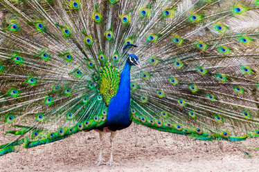 Similar image 22012643