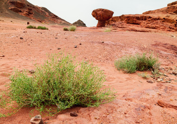 Similar image 22012656