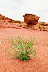 Similar image 22012658