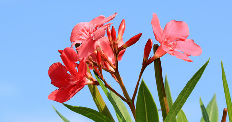 Similar image 22009198