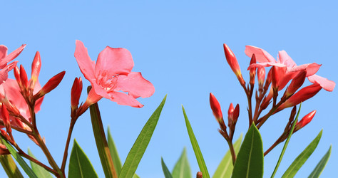 Similar image 22009199