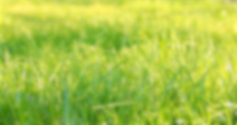 Similar image 22009200