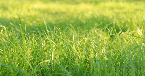 Similar image 22009204