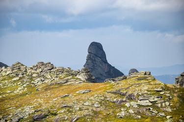 Similar image 22008603