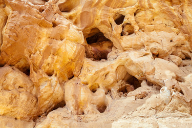 Similar image 22013161