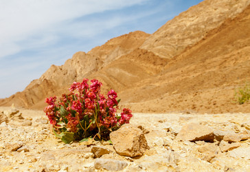 Similar image 22013296