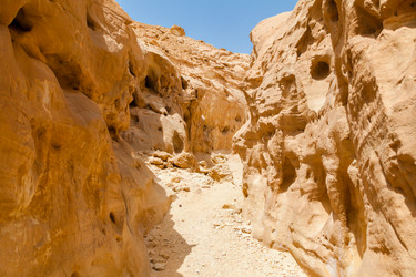 Similar image 22013301