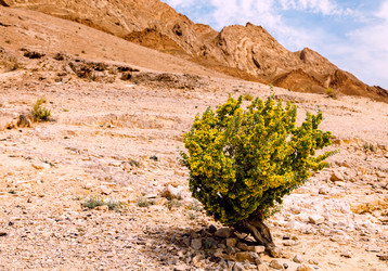 Similar image 22013310