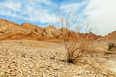 Similar image 22012672