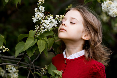 Similar image 22012105