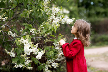 Similar image 22012108