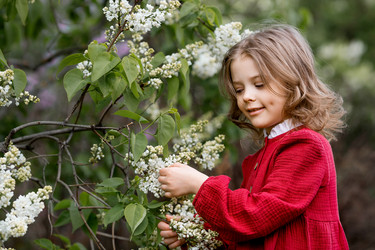 Similar image 22012109