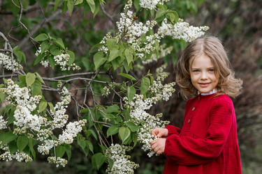 Similar image 22012110