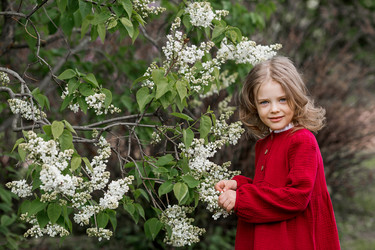 Similar image 22012111